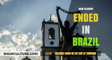 The Long Road to Freedom: How Slavery Ended in Brazil