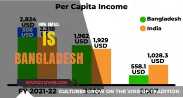 Exploring Bangladesh's Compact Geography: Size, Scale, and Surprising Facts