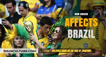 Soccer's Cultural Impact: Shaping Brazil's Identity, Economy, and Global Influence