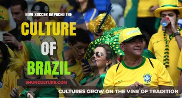 Soccer's Soul: Shaping Brazil's Identity, Culture, and Global Legacy