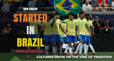 The Birth of Brazilian Soccer: A Journey Through History