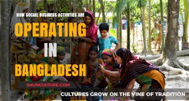 Social Business in Bangladesh: Models, Impact, and Sustainable Practices
