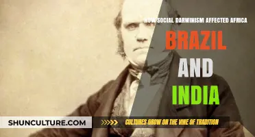Social Darwinism's Global Impact: Africa, Brazil, and India's Struggles