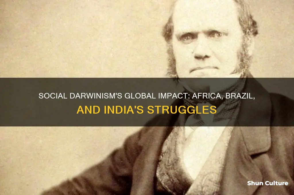 how social darwinism affected africa brazil and india