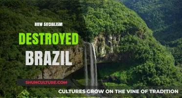 Socialism's Devastating Impact: Brazil's Economic and Social Collapse Explained