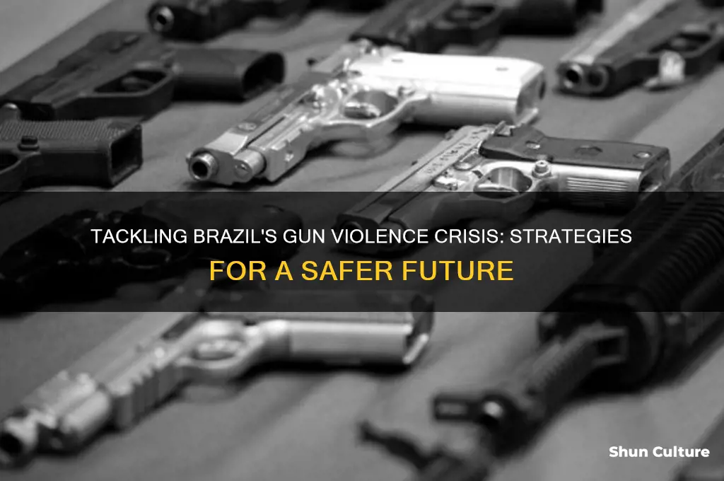 how solve brazil gun violence