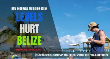 Belize's Race Against Rising Seas