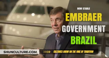 Embraer's Stability: Brazil's Government Influence and Economic Impact