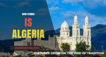 Algeria's Stability: Assessing Political, Economic, and Social Resilience Today