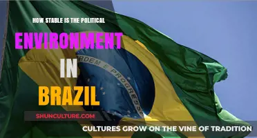Brazil's Political Stability: Assessing Risks and Resilience in 2023