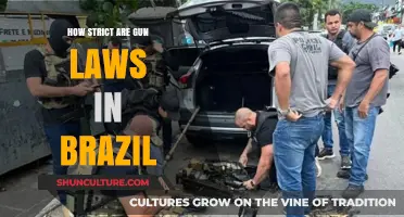 Brazil's Gun Laws: How Strict Are They Really?
