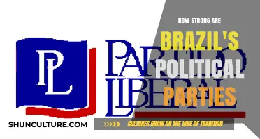 Brazil's Political Parties: Analyzing Their Strengths and Weaknesses