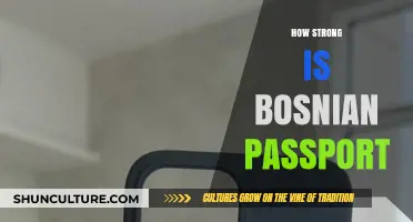 Exploring the Global Power and Benefits of a Bosnian Passport