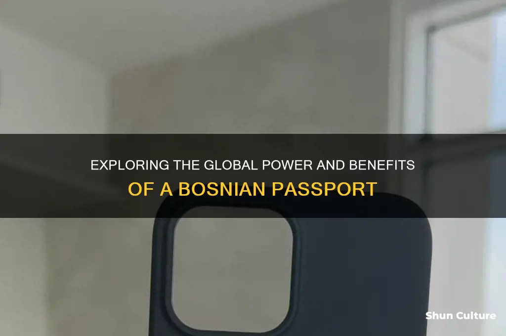 how strong is bosnian passport