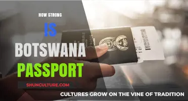 Botswana Passport Power: Global Mobility and Travel Strength Explained