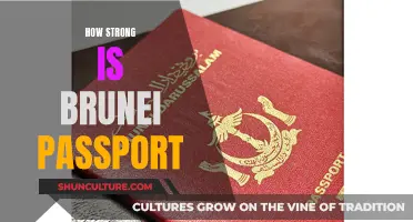 Brunei Passport Power: A Ticket to Global Freedom?