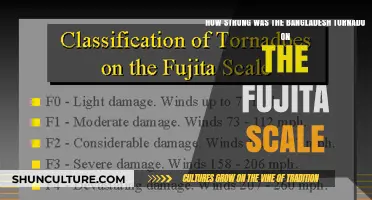 Analyzing Bangladesh's Tornado Intensity on the Fujita Scale