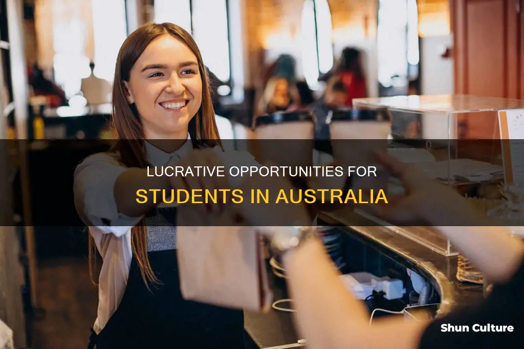how student earn money in australia