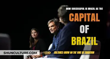 Brazil's Success as Its Own Capital: A Comprehensive Analysis
