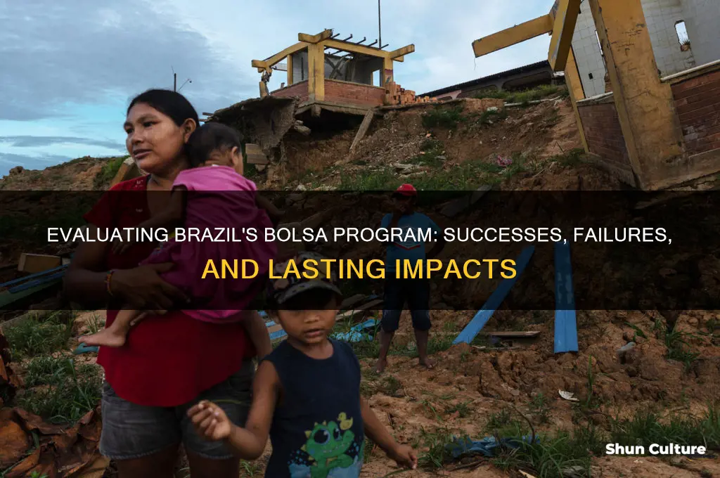 how successful unsuccessful was the bolsa program in brazil