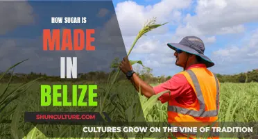 The Sweet Secrets of Sugar Making in Belize