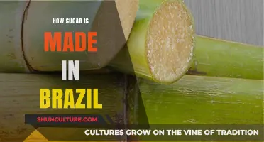 Brazil's Sweet Journey: From Cane Fields to Sugar Production