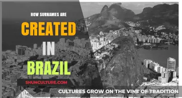 Origins of Brazilian Surnames: A Cultural and Historical Journey