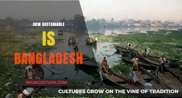 Exploring Bangladesh's Sustainability: Challenges, Progress, and Future Prospects