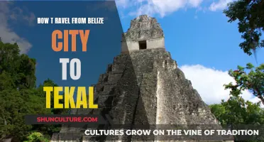 Belize City to Tikal: A Journey Through History and Nature