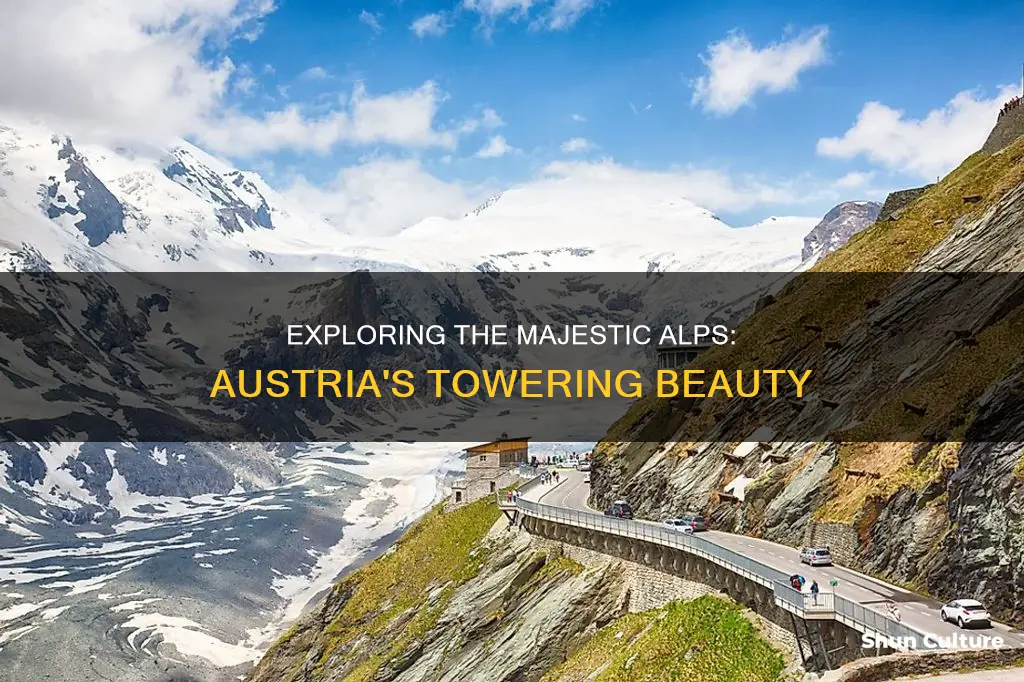 how tall are the alps in austria