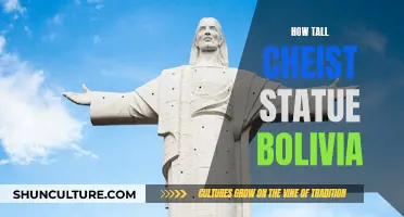 Christ the Redeemer: The Height of Faith in Bolivia