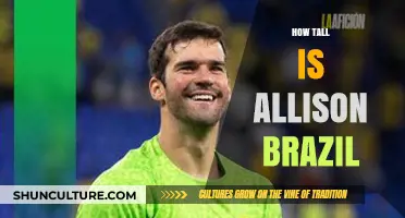 Discovering Allison Brazil's Height: Facts and Figures Revealed