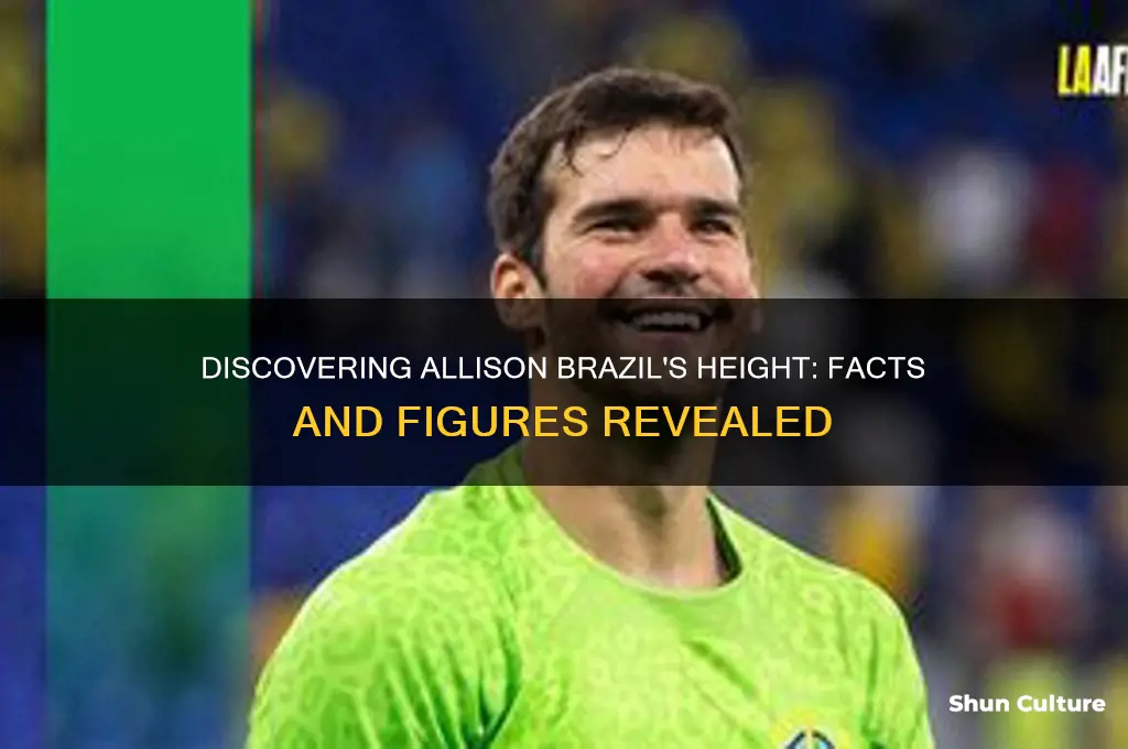 how tall is allison brazil