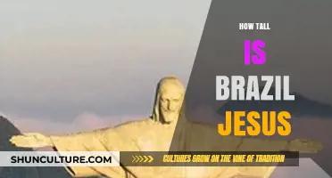 How Tall is Brazil's Jesus Statue? Unveiling the Iconic Height