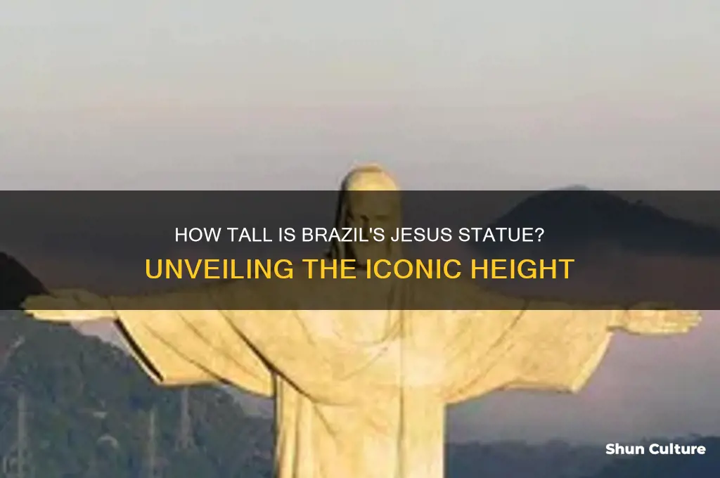 how tall is brazil jesus