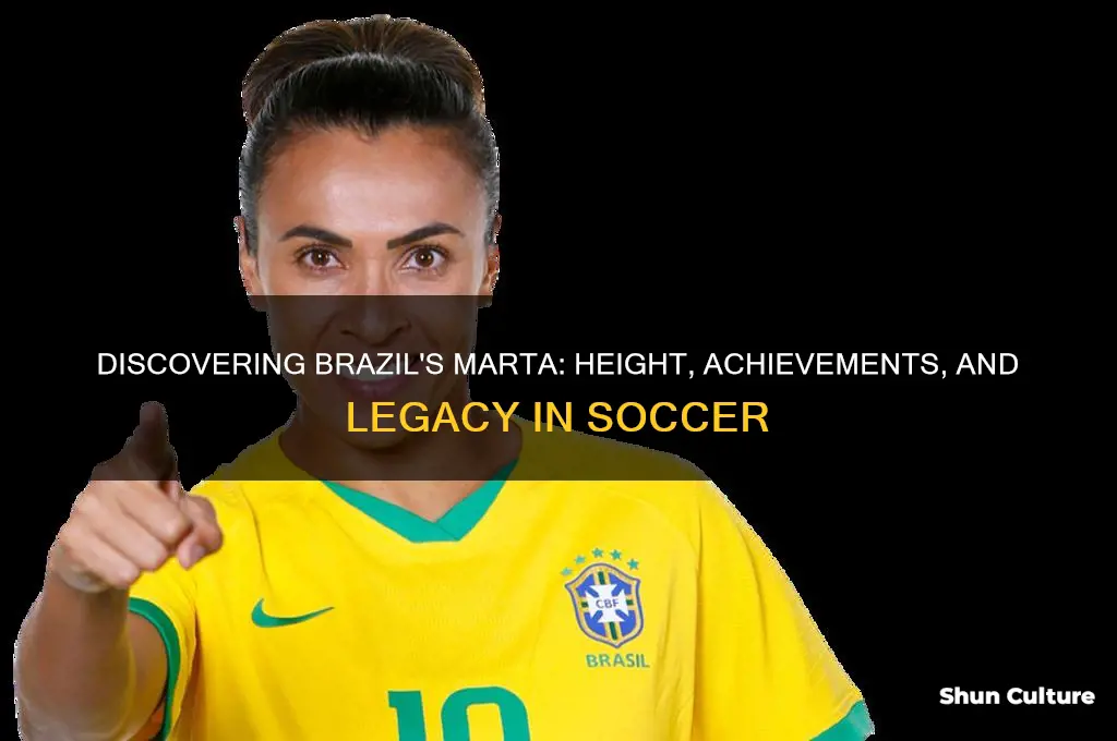 how tall is brazil