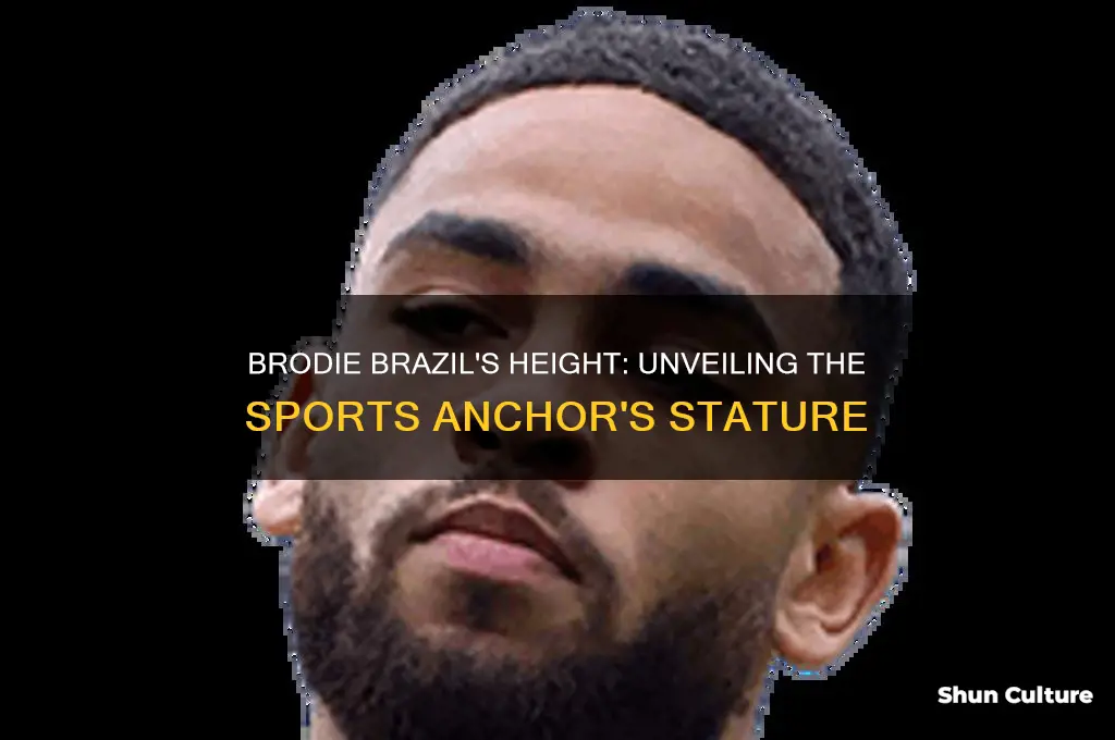 how tall is brodie brazil