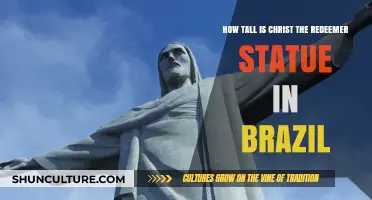 Christ the Redeemer Statue's Height: A Brazilian Icon's Majestic Measure
