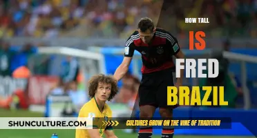 Discovering Fred Brazil's Height: Facts and Figures Revealed