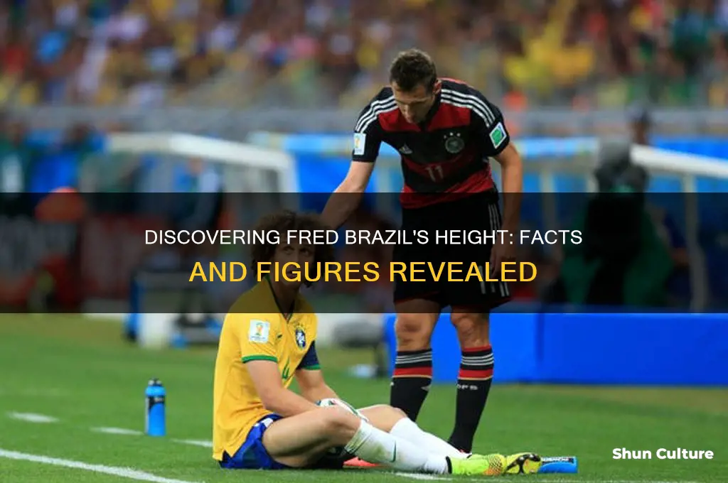 how tall is fred brazil