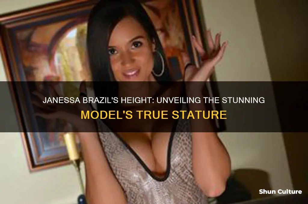 how tall is janessa brazil