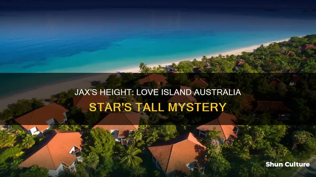 how tall is jax from love island australia
