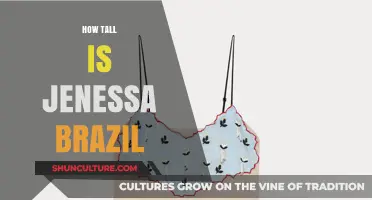 Jenessa Brazil's Height: Unveiling the Stunning Model's True Stature