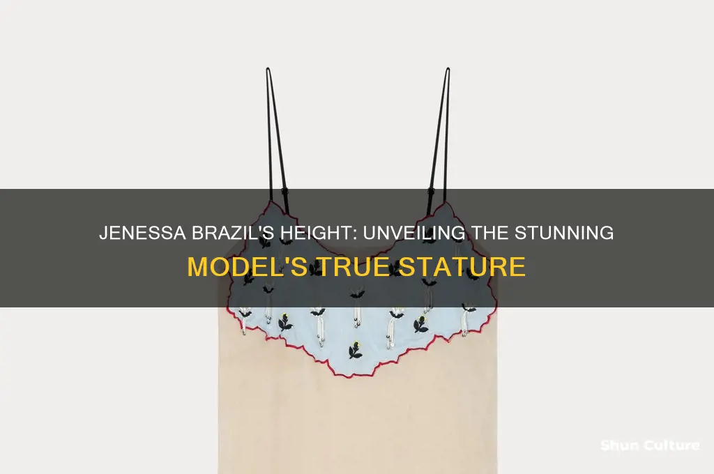 how tall is jenessa brazil
