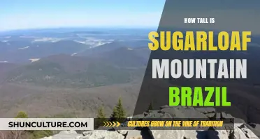 Discovering Sugarloaf Mountain's Height: A Brazilian Icon's Majestic Stature