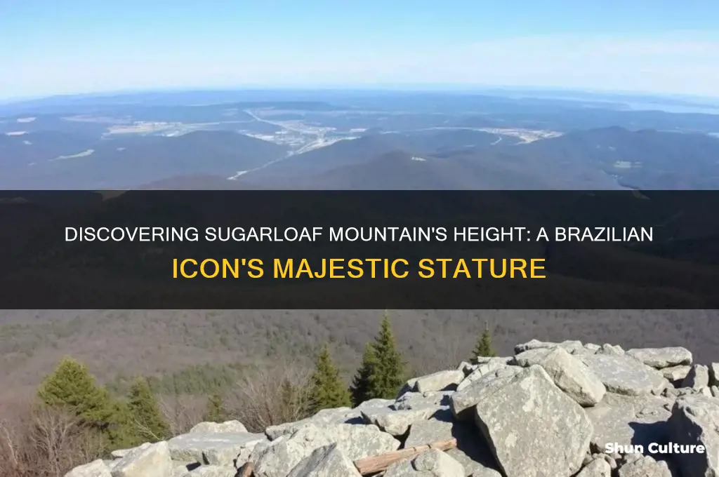 how tall is sugarloaf mountain brazil