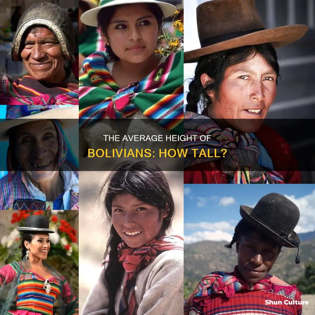 how tall is the average bolivian