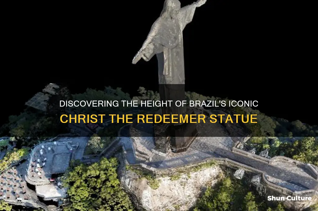 how tall is the brazil statue