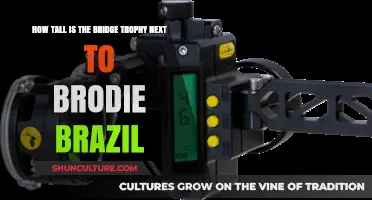 Bridge Trophy Height: How Tall Stands It Next to Brodie Brazil?