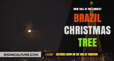 Discovering the Height of Brazil's Largest Christmas Tree